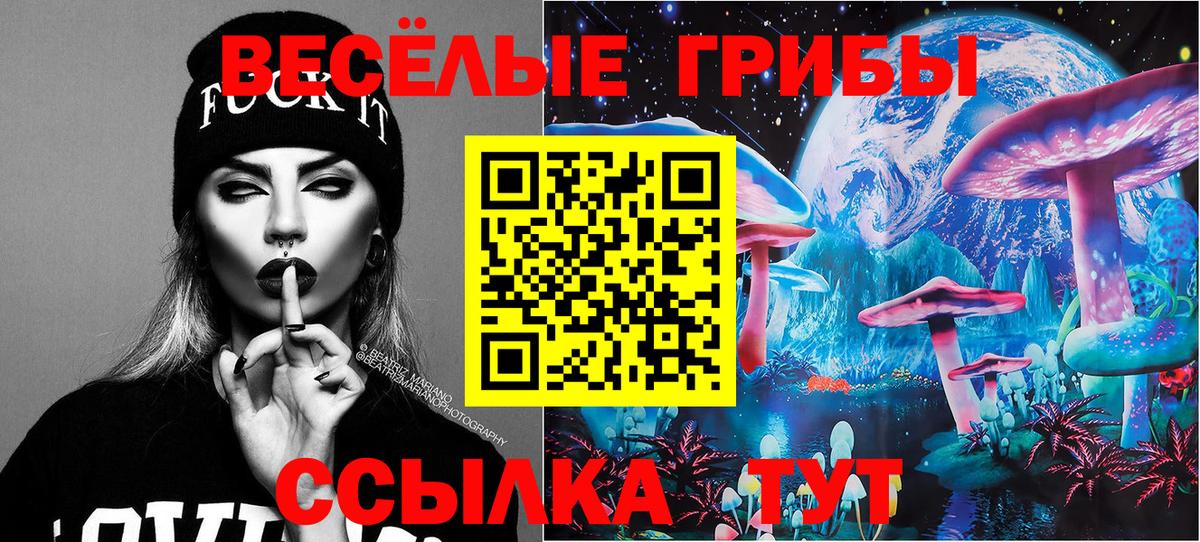 Галлюциногенные грибы Cubensis  Галлюциногенные грибы прущие грибы  где купить   Вход с VPN  Корсаков 